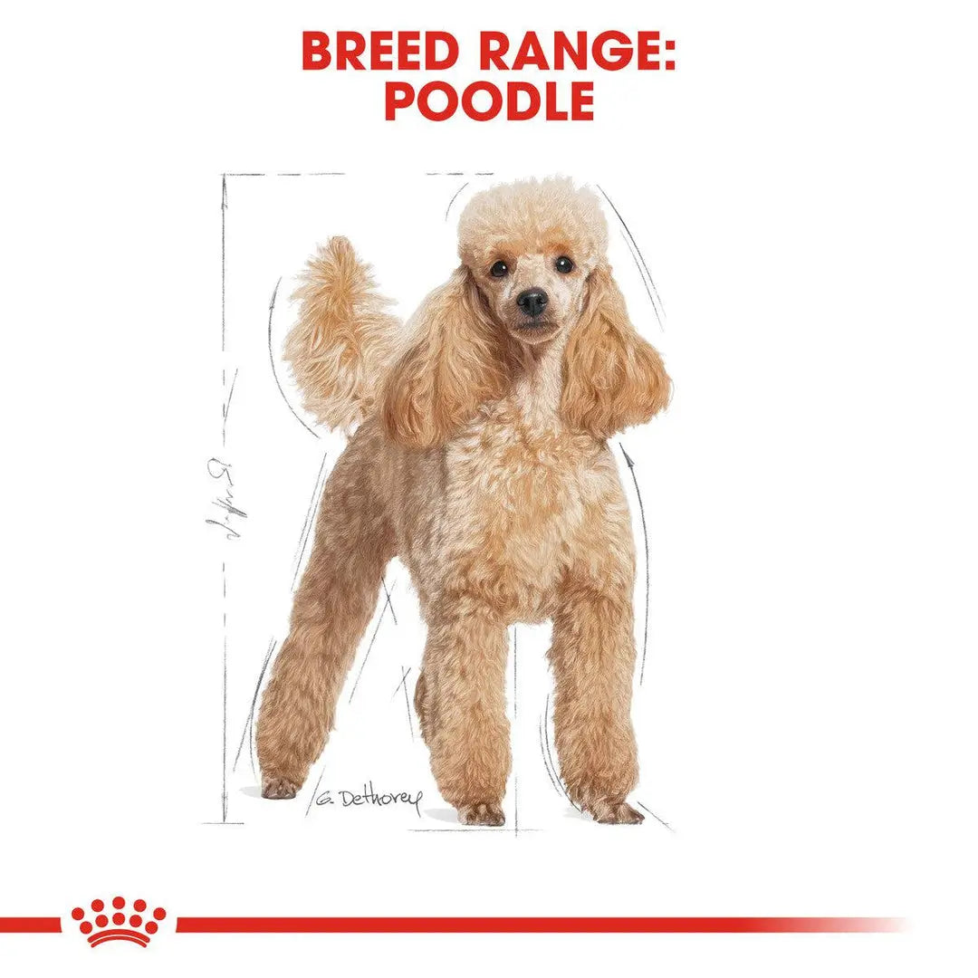 ROYAL CANIN BREED HEALTH NUTRITION POODLE ADULT WET FOOD POUCH, 85G Royal Canin