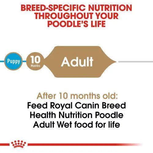 ROYAL CANIN BREED HEALTH NUTRITION POODLE ADULT WET FOOD POUCH, 85G Royal Canin