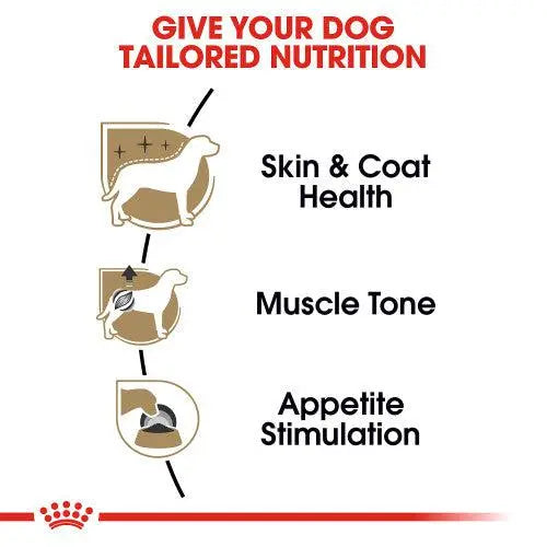 ROYAL CANIN BREED HEALTH NUTRITION POODLE ADULT WET FOOD POUCH, 85G Royal Canin