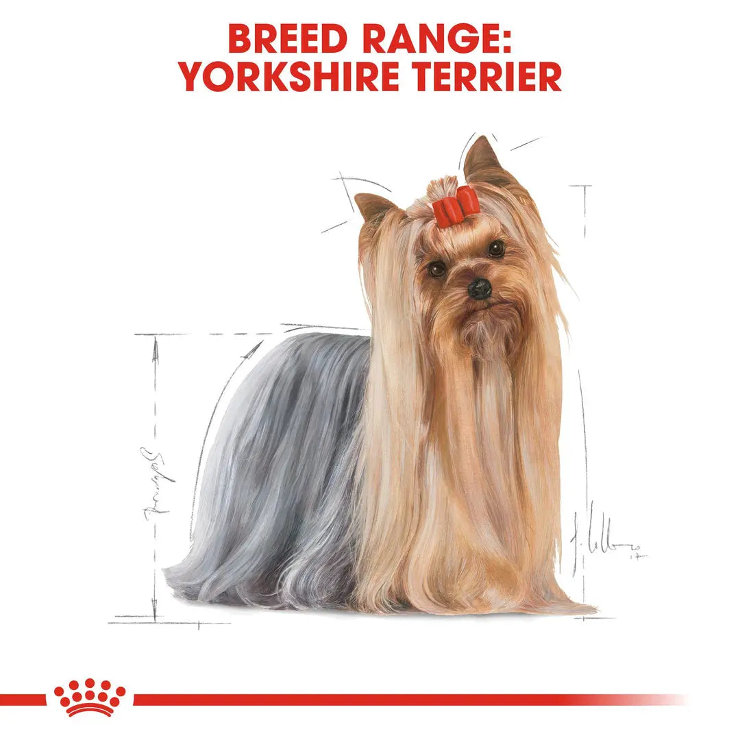 ROYAL CANIN BREED HEALTH NUTRITION YORKSHIRE ADULT WET FOOD POUCH, 85G Royal Canin