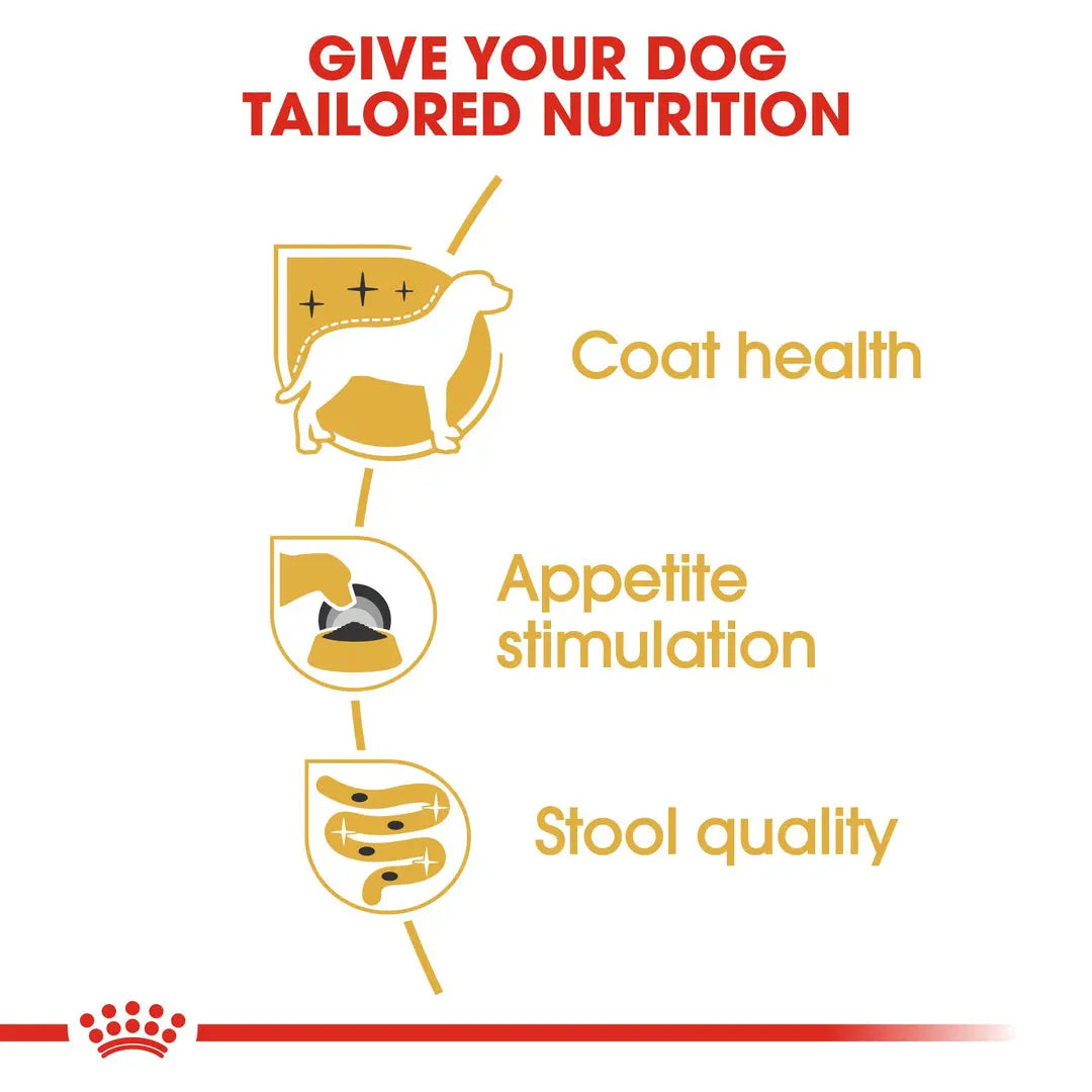 ROYAL CANIN BREED HEALTH NUTRITION YORKSHIRE ADULT WET FOOD POUCH, 85G Royal Canin