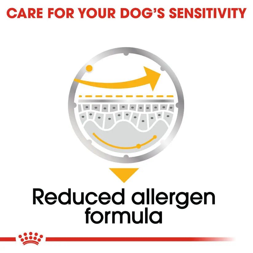 ROYAL CANIN CANINE CARE NUTRITION DERMACOMFORT WET FOOD POUCH, 85G Royal Canin