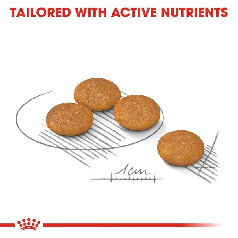 ROYAL CANIN CANINE CARE NUTRITION MINI DERMACOMFORT 3 KG Royal Canin