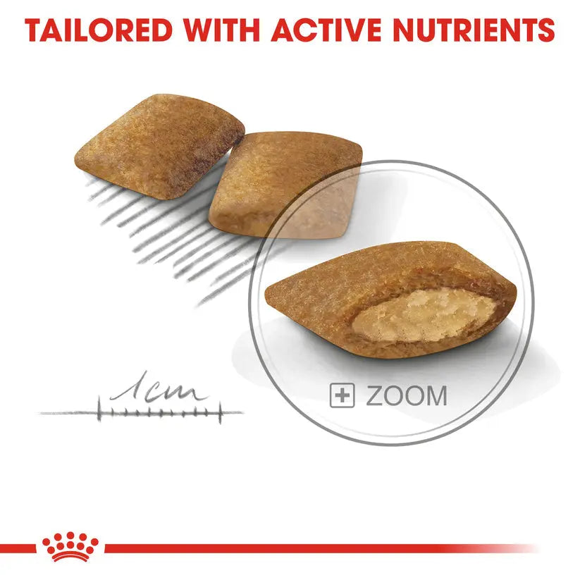 ROYAL CANIN CANINE CARE NUTRITION MINI EXIGENT 3 KG Royal Canin