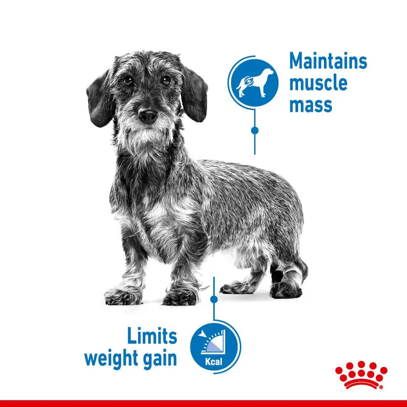 ROYAL CANIN CANINE CARE NUTRITION MINI LIGHT WEIGHT CARE Royal Canin