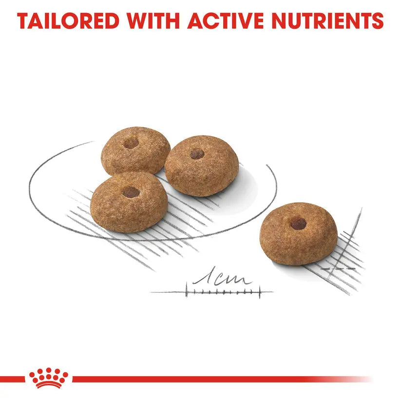 ROYAL CANIN CANINE CARE NUTRITION MINI STERILIZED ADULT 3 KG Royal Canin