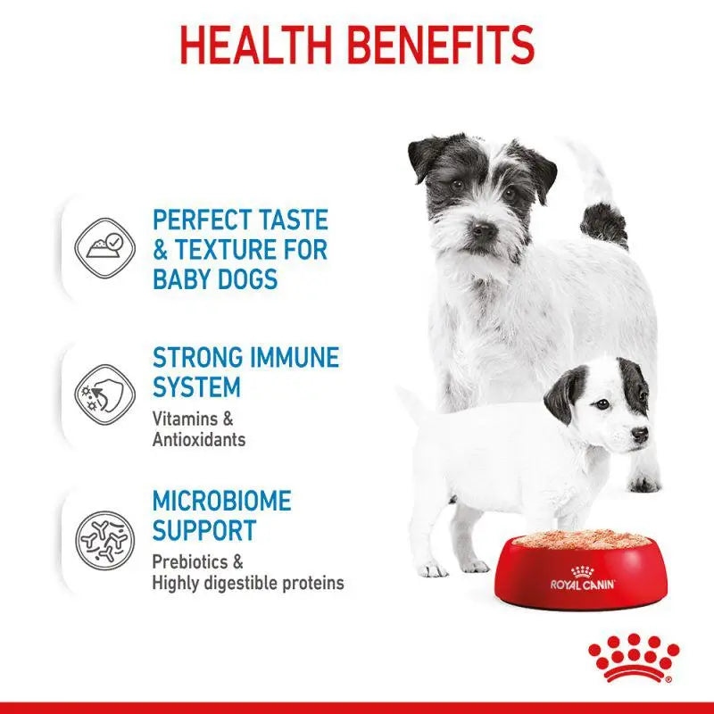 ROYAL CANIN CANINE HEALTH NUTRITION STARTER MOUSSE MOTHER & BABY WET DOG FOOD CAN, 195G 1×Can Royal Canin
