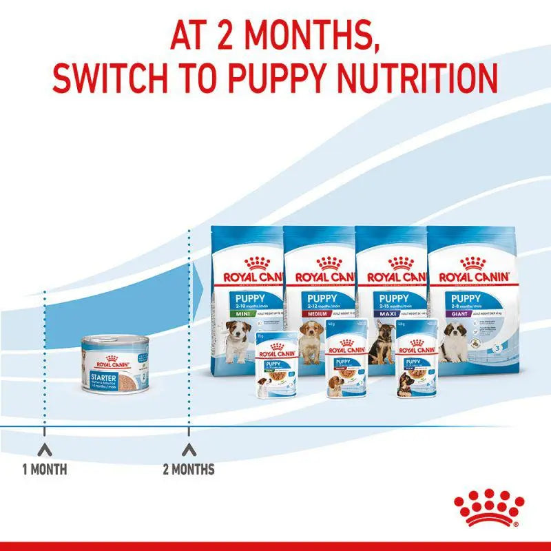 ROYAL CANIN CANINE HEALTH NUTRITION STARTER MOUSSE MOTHER & BABY WET DOG FOOD CAN, 195G 1×Can Royal Canin