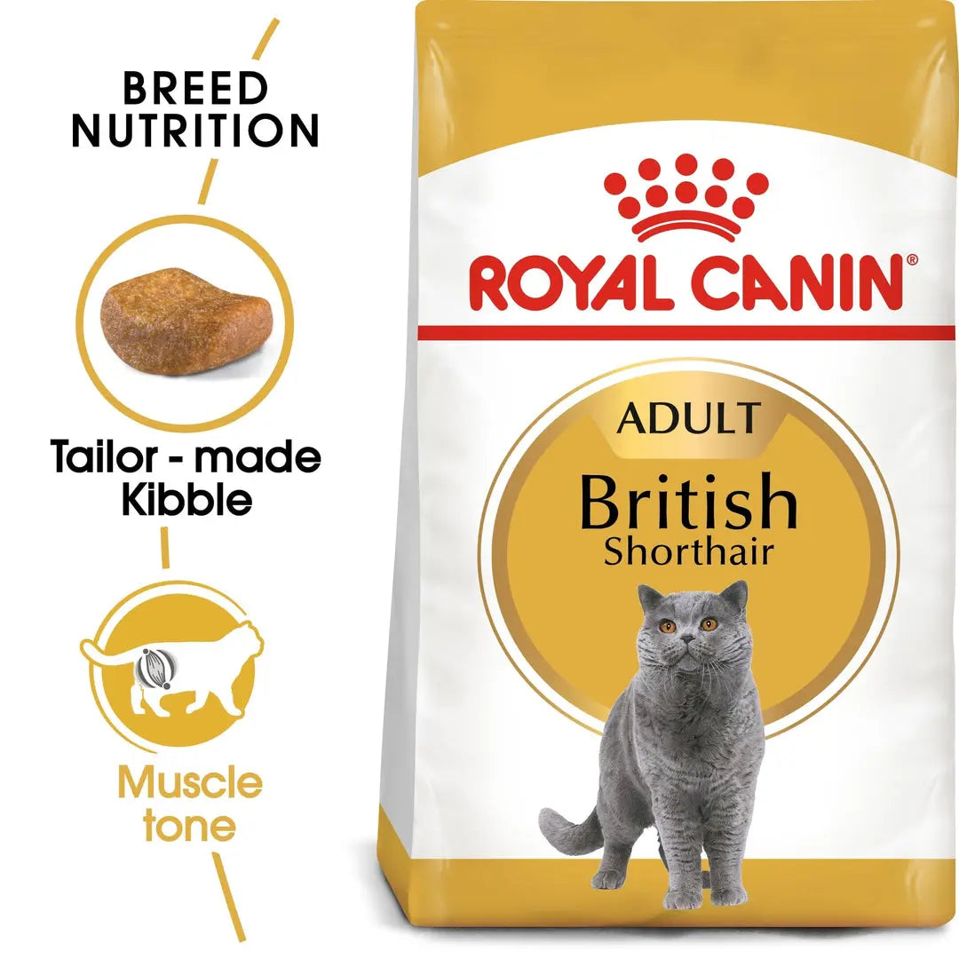 ROYAL CANIN FELINE BREED NUTRITION BRITISH SHORTHAIR ADULT 4 KG Royal Canin
