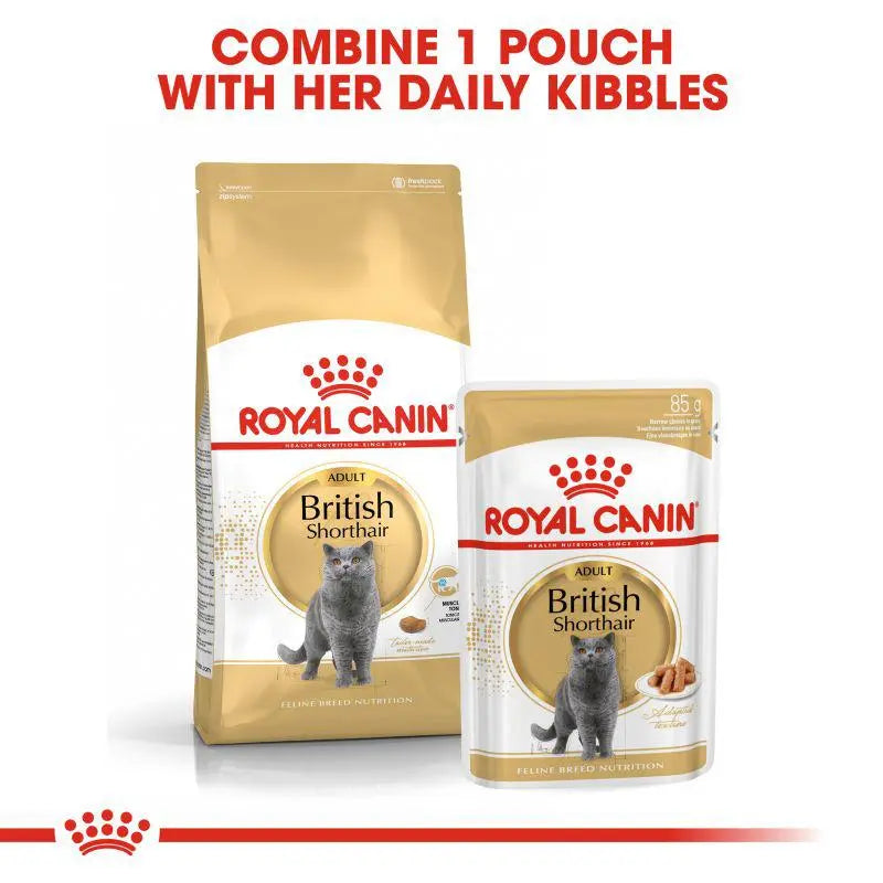 ROYAL CANIN FELINE BREED NUTRITION BRITISH SHORTHAIR ADULT 4 KG Royal Canin