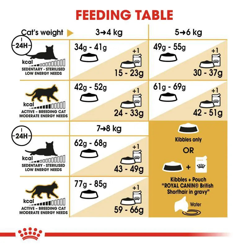 ROYAL CANIN FELINE BREED NUTRITION BRITISH SHORTHAIR ADULT 4 KG Royal Canin