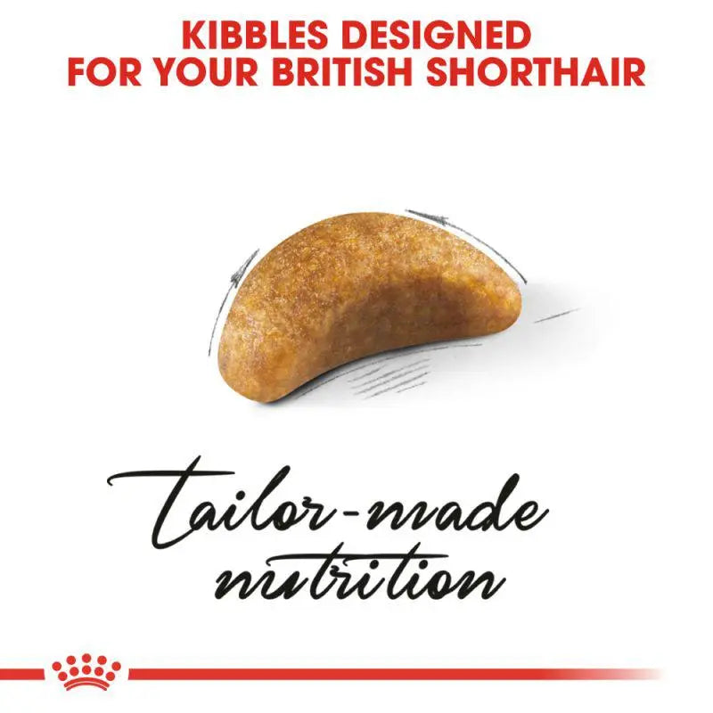 ROYAL CANIN FELINE BREED NUTRITION BRITISH SHORTHAIR KITTEN 2 KG Royal Canin