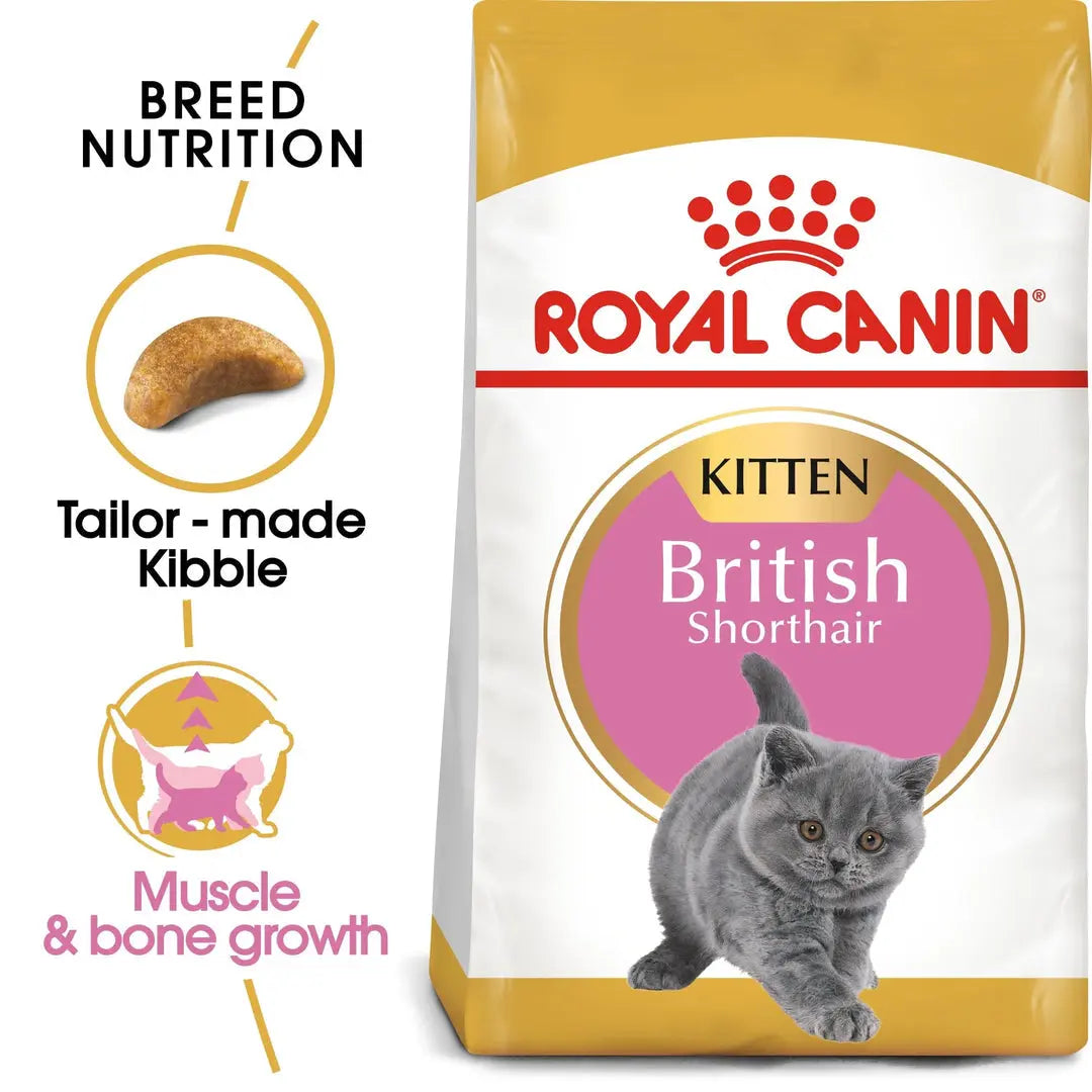 ROYAL CANIN FELINE BREED NUTRITION BRITISH SHORTHAIR KITTEN 2 KG Royal Canin