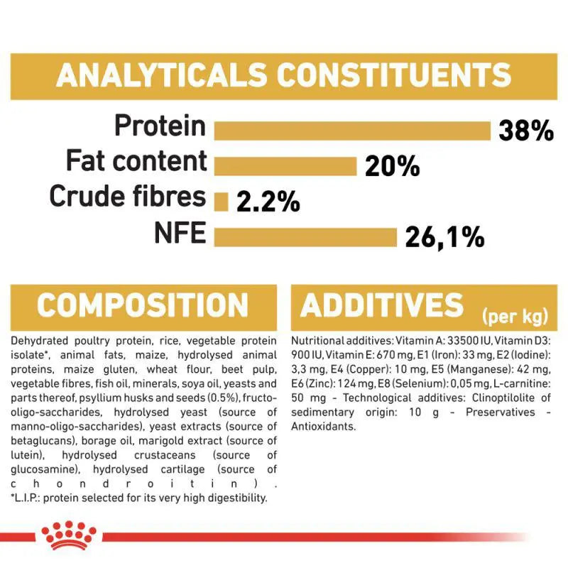 ROYAL CANIN FELINE BREED NUTRITION BRITISH SHORTHAIR KITTEN 2 KG Royal Canin