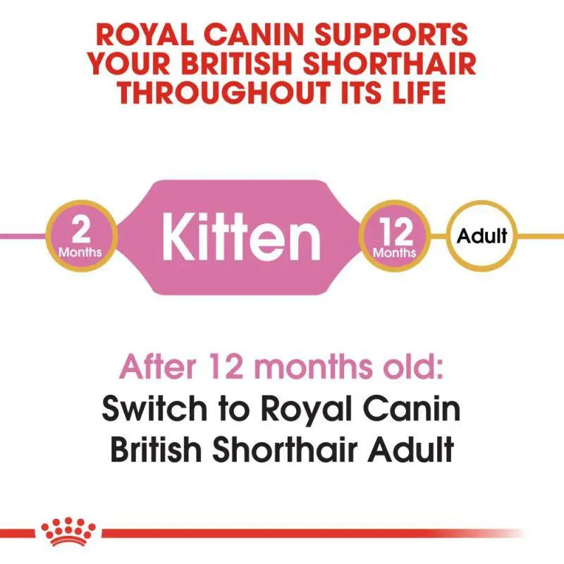 ROYAL CANIN FELINE BREED NUTRITION BRITISH SHORTHAIR KITTEN 2 KG Royal Canin