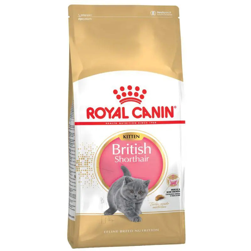ROYAL CANIN FELINE BREED NUTRITION BRITISH SHORTHAIR KITTEN 2 KG Royal Canin