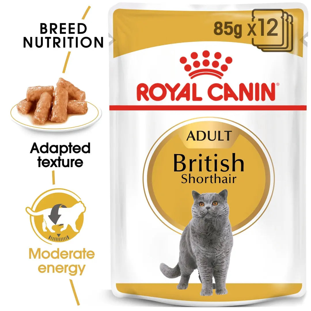 ROYAL CANIN FELINE BREED NUTRITION BRITISH SHORTHAIR WET FOOD POUCH, 85 G Royal Canin