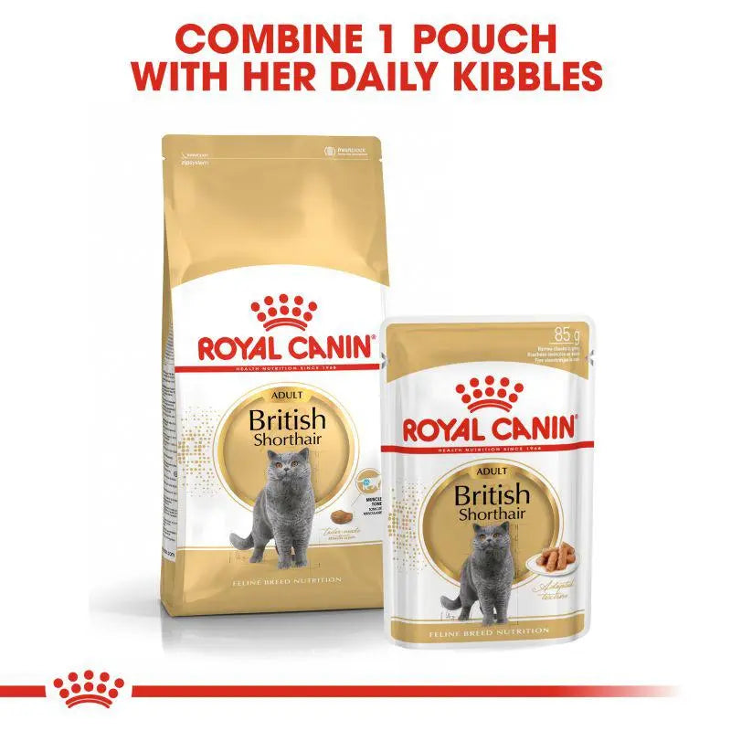 ROYAL CANIN FELINE BREED NUTRITION BRITISH SHORTHAIR WET FOOD POUCH, 85 G Royal Canin