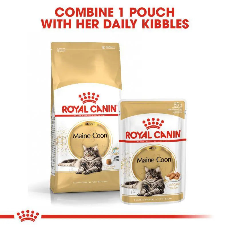 ROYAL CANIN FELINE BREED NUTRITION MAINE COON ADULT 2 KG Royal Canin