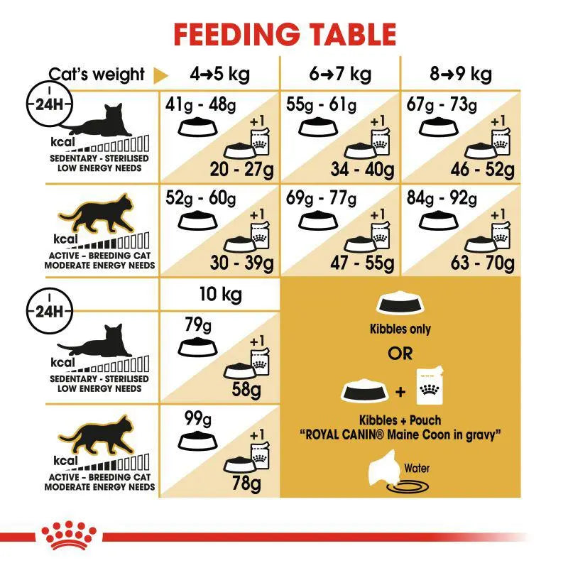 ROYAL CANIN FELINE BREED NUTRITION MAINE COON ADULT 2 KG Royal Canin