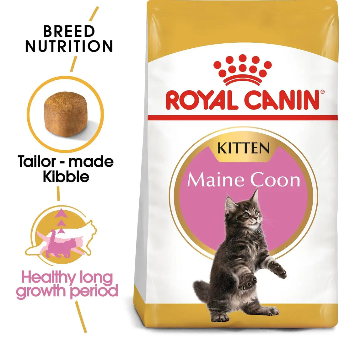 ROYAL CANIN FELINE BREED NUTRITION MAINE COON KITTEN 2 KG Royal Canin