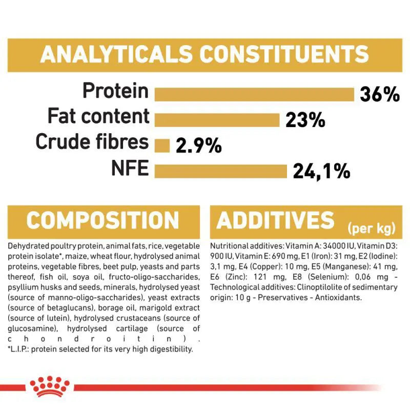 ROYAL CANIN FELINE BREED NUTRITION MAINE COON KITTEN 2 KG Royal Canin