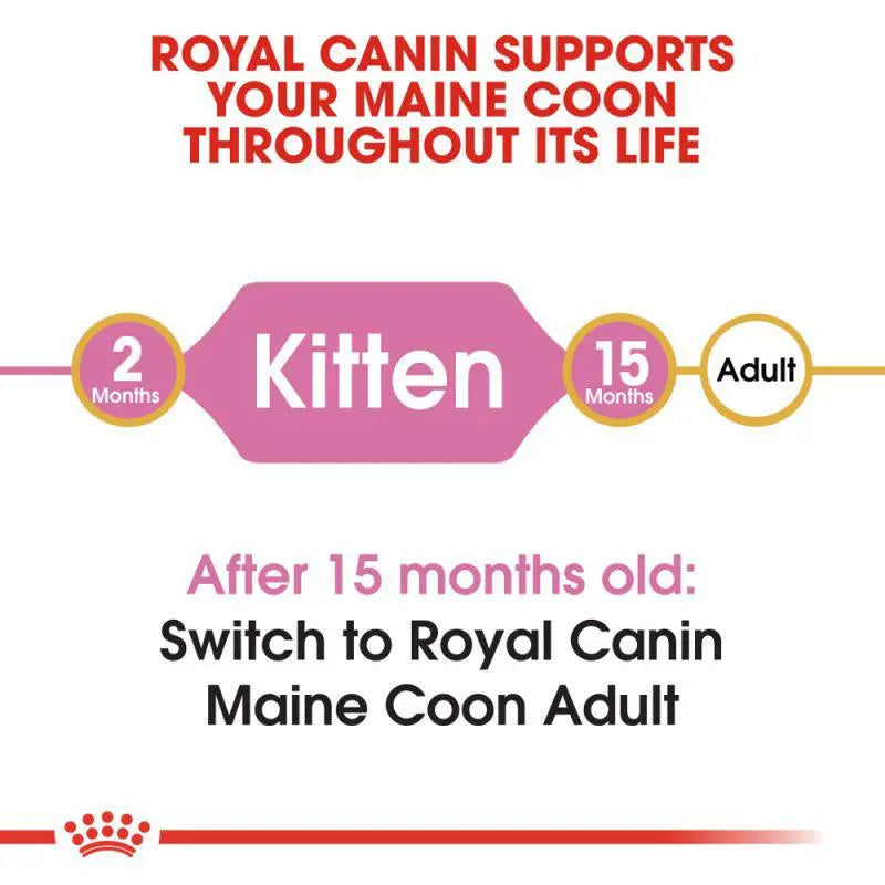 ROYAL CANIN FELINE BREED NUTRITION MAINE COON KITTEN 2 KG Royal Canin