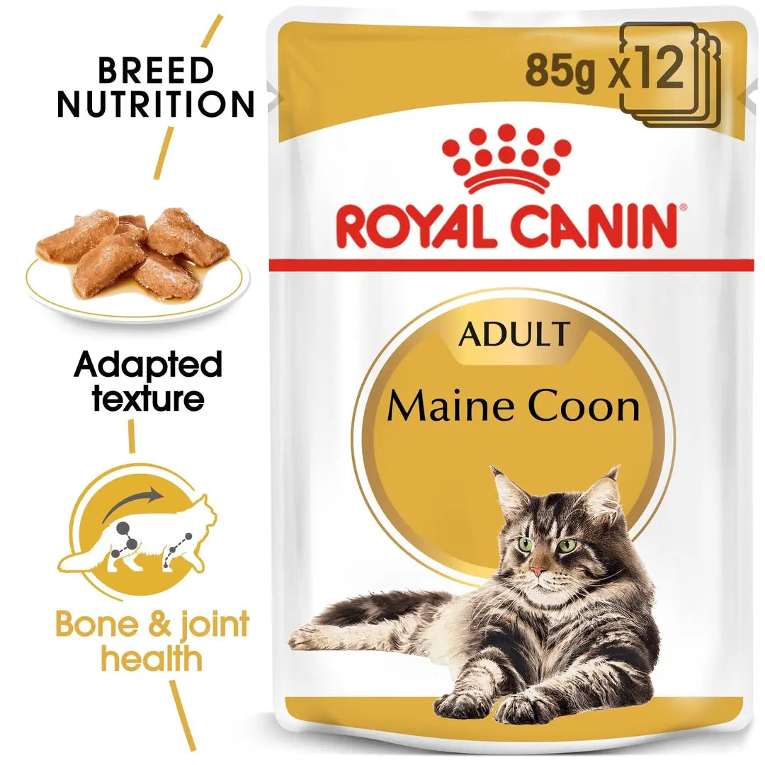 ROYAL CANIN FELINE BREED NUTRITION MAINE COON WET FOOD POUCH, 85G Royal Canin