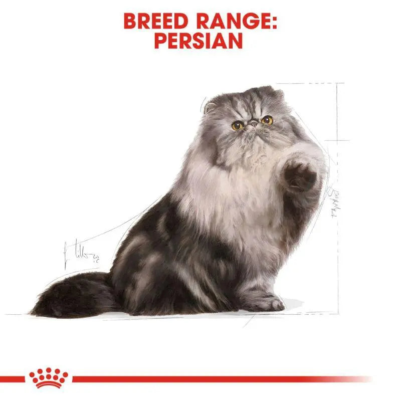 ROYAL CANIN FELINE BREED NUTRITION PERSIAN ADULT Royal Canin