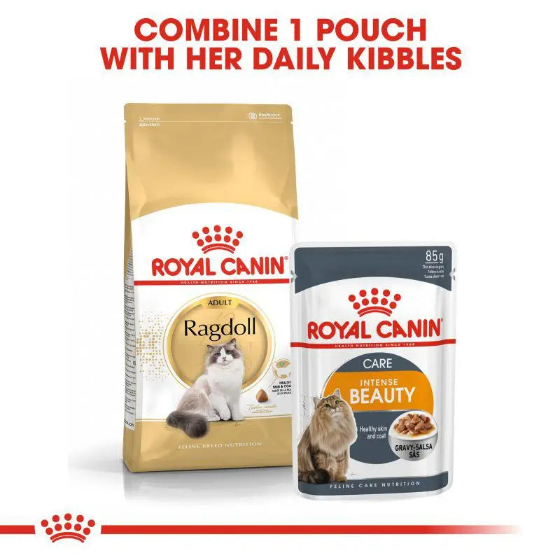 ROYAL CANIN FELINE BREED NUTRITION RAGDOLL ADULT 2 KG Royal Canin