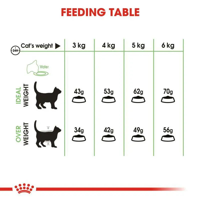 ROYAL CANIN FELINE CARE NUTRITION DIGESTIVE CARE DRY CAT FOOD Royal Canin