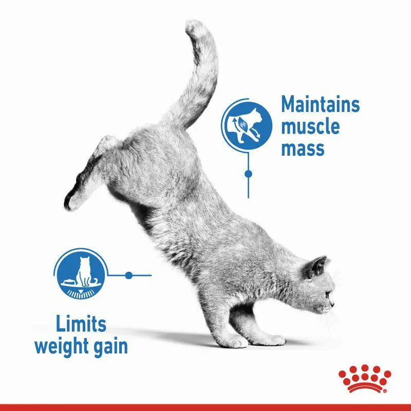 ROYAL CANIN FELINE CARE NUTRITION LIGHT WEIGHT CARE Royal Canin