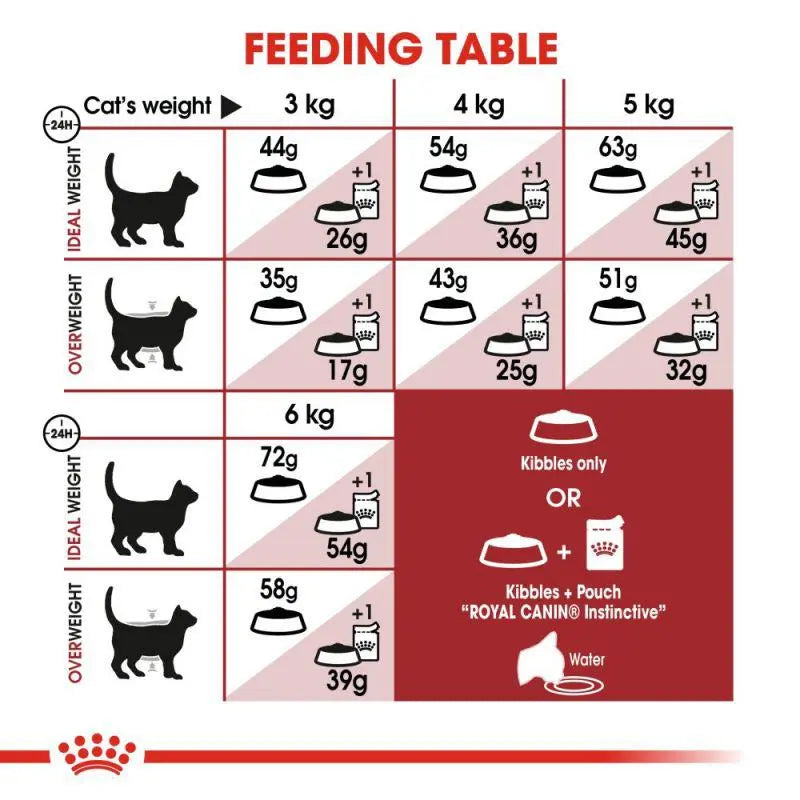 ROYAL CANIN FELINE HEALTH NUTRITION FIT 32 DRY CAT FOOD 2 KG Royal Canin