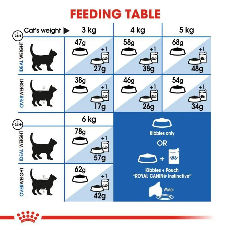 ROYAL CANIN FELINE HEALTH NUTRITION INDOOR APPETITE CONTROL 2 KG Royal Canin