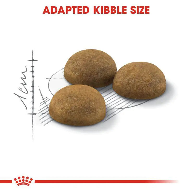 ROYAL CANIN FELINE HEALTH NUTRITION INDOOR LONG HAIR Royal Canin