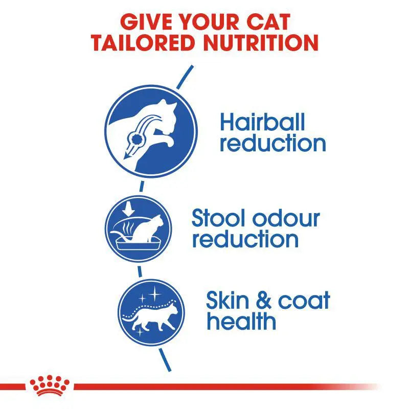 ROYAL CANIN FELINE HEALTH NUTRITION INDOOR LONG HAIR Royal Canin