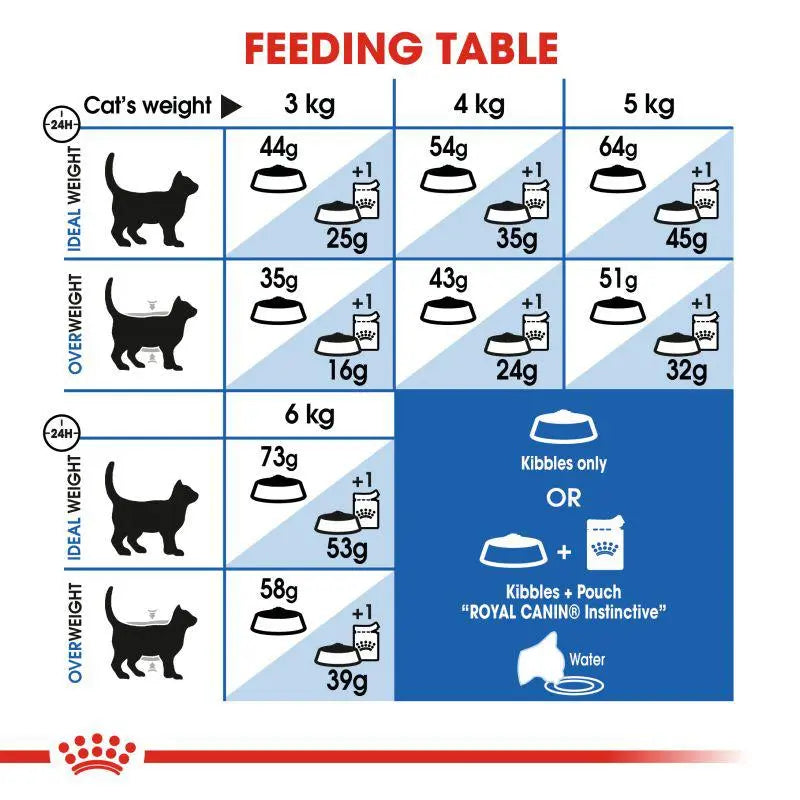ROYAL CANIN FELINE HEALTH NUTRITION INDOOR LONG HAIR Royal Canin