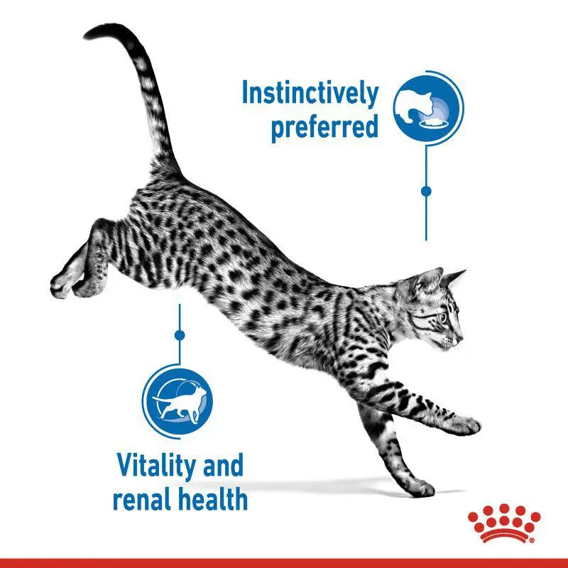 ROYAL CANIN FELINE HEALTH NUTRITION INDOOR STERILISED 7+ GRAVY WET FOOD POUCH, 85G Royal Canin
