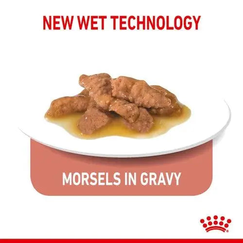 ROYAL CANIN FELINE HEALTH NUTRITION INDOOR STERILISED GRAVY WET CAT FOOD POUCH, 85G Royal Canin