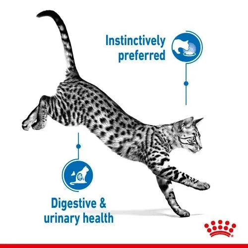 ROYAL CANIN FELINE HEALTH NUTRITION INDOOR STERILISED GRAVY WET CAT FOOD POUCH, 85G Royal Canin