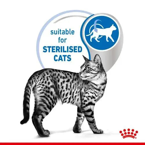ROYAL CANIN FELINE HEALTH NUTRITION INDOOR STERILISED GRAVY WET CAT FOOD POUCH, 85G Royal Canin