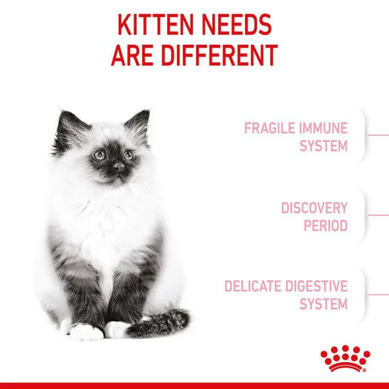 ROYAL CANIN FELINE HEALTH NUTRITION KITTEN DRY FOOD 4 KG Royal Canin