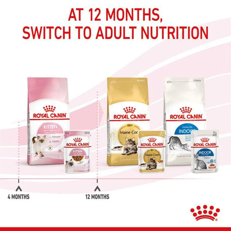 ROYAL CANIN FELINE HEALTH NUTRITION KITTEN GRAVY WET FOOD POUCH 1 Box(12×85g) Royal Canin