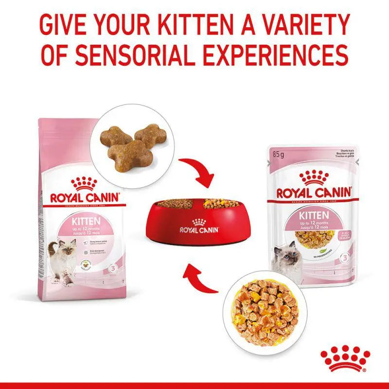 ROYAL CANIN FELINE HEALTH NUTRITION KITTEN JELLY WET CAT FOOD POUCH Royal Canin