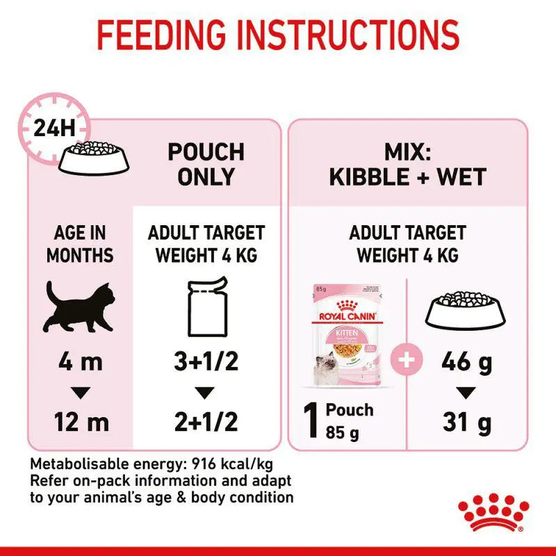 ROYAL CANIN FELINE HEALTH NUTRITION KITTEN JELLY WET CAT FOOD POUCH Royal Canin