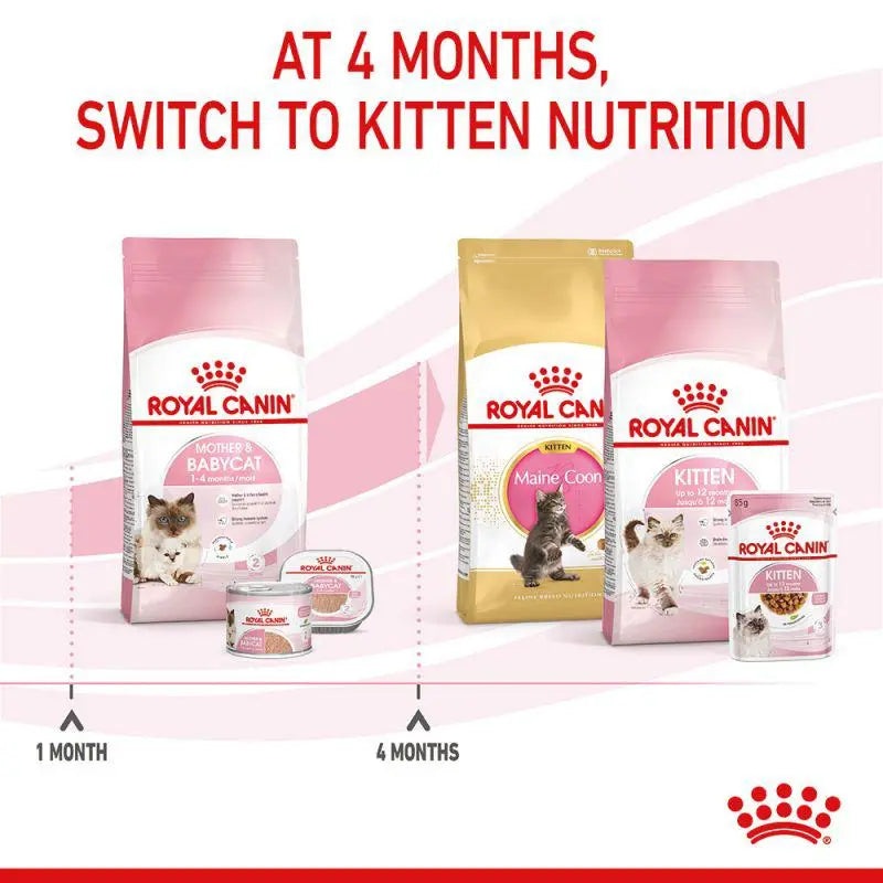 ROYAL CANIN FELINE HEALTH NUTRITION MOTHER & BABYCAT Royal Canin