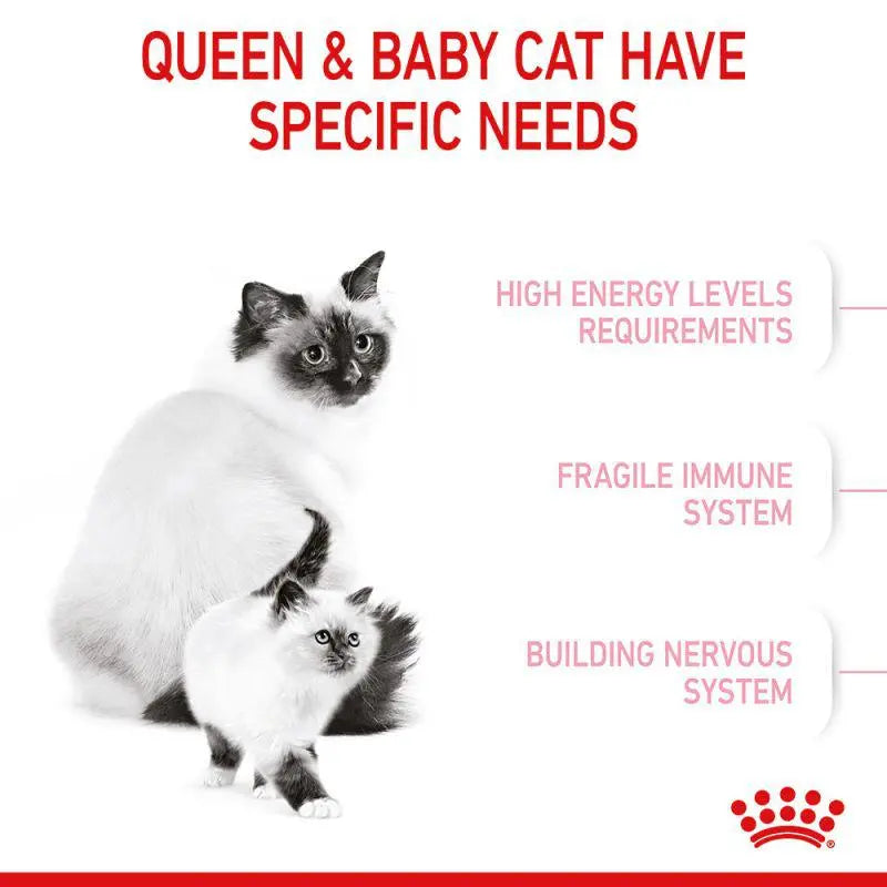 ROYAL CANIN FELINE HEALTH NUTRITION MOTHER & BABYCAT Royal Canin