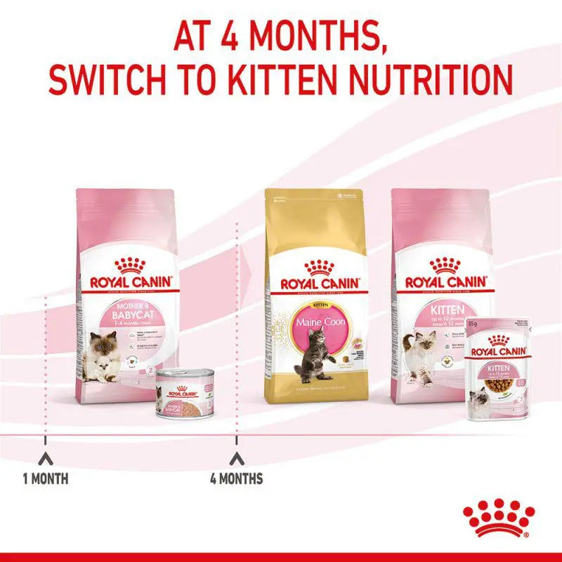 ROYAL CANIN FELINE MOTHER & BABYCAT MOUSSE WET FOOD CAN, 195Gx12 cans Royal Canin