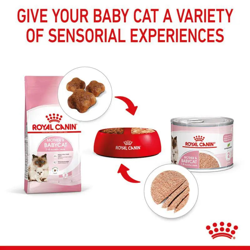ROYAL CANIN FELINE MOTHER & BABYCAT MOUSSE WET FOOD CAN, 195Gx12 cans Royal Canin