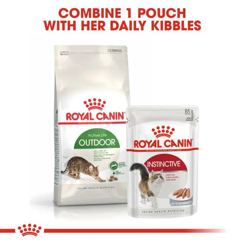 ROYAL CANIN FELINE HEALTH NUTRITION OUTDOOR 2 KG Royal Canin